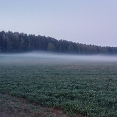 Артем Гаращук