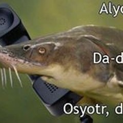 Сергей Бойков