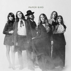 Paper Bird