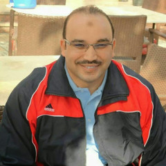 wael gadelkareem
