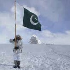 jahanzaib amin