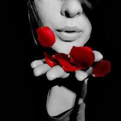 elham noon