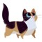 Cat Fancy