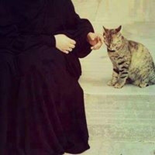 ( يَا مُوسَىٰ إِنَّهُ أَنَا اللَّهُ )