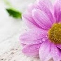 Elizabeth Vasquez 28