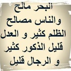 اسامه الجزار