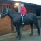 Joe Horsey Evans