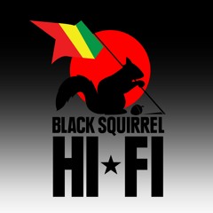 Black Squirrel Hi-Fi
