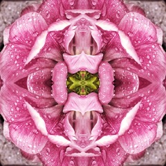 Theophrastus Bombastus ツ