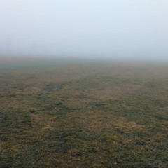 chickenfriedrice9537