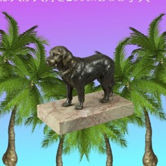 小さな犬//lil'dog