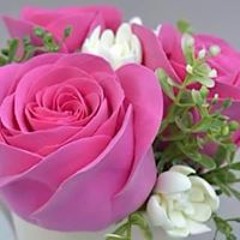 Noor Fofa