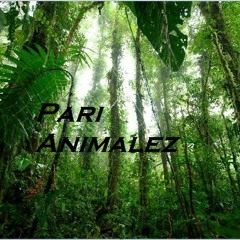 Pari Animalez