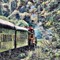 TrainThrills99
