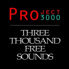Project 3000