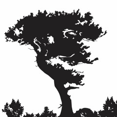 MAKE MY  DAY Records