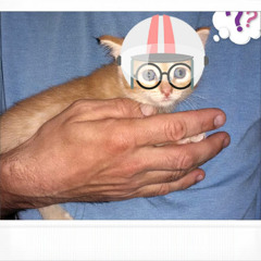 Кася Кассиопея