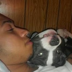 joe_03!