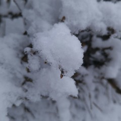 백색소음(White Noise)