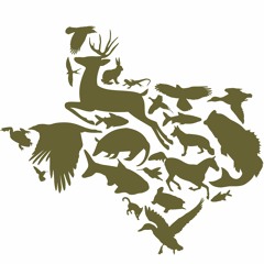 Texas Parks and Wildlife Foundation