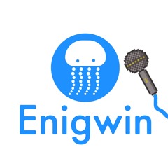 Enigwin