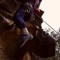 Clifftoppers