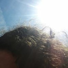 Sopi Friz