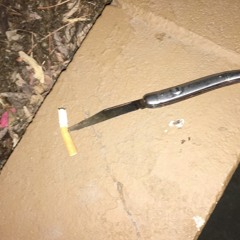 MOTH LIFE, RD