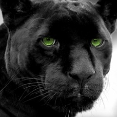 Tyson Walker beats