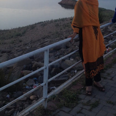 ayesha islam