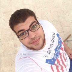 hossam alwakil