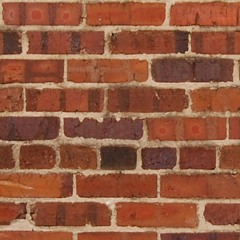 FOLLOW ZandersBangers