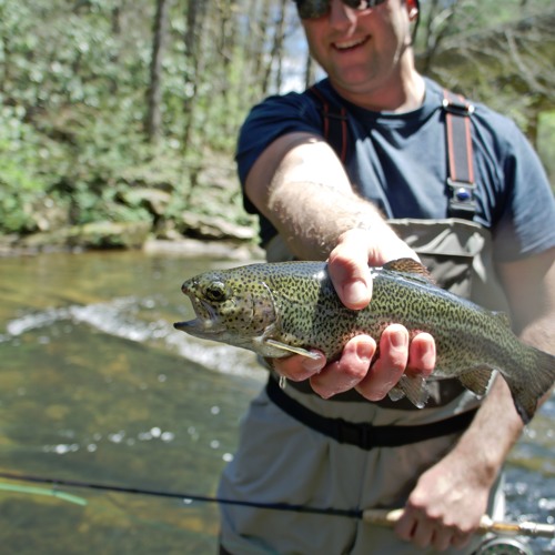 Stream Ryan McQuinn Listen to Test playlist online for free