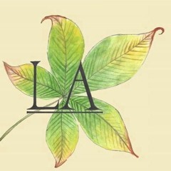 liamanderson1