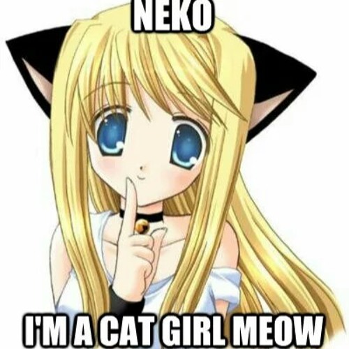 Anime Memes - Once a Catgirl, always a Catgirl.
