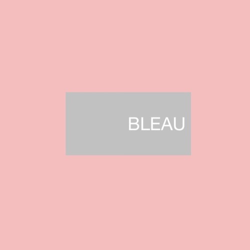 BLEAU’s avatar