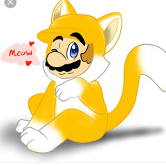 Cat Mario Fan