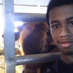 Noah Randrianalivony