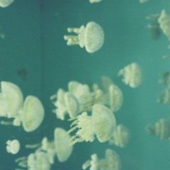 babyblue