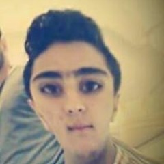 Mohamed H Alwan