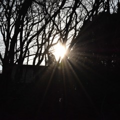 wakibee in the demo box