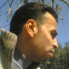 alaa abdelsalam mohamed