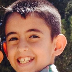 يحيى فارس