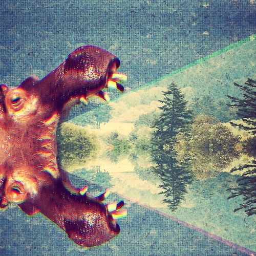 TexCus podcast artwork
