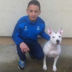 Louis Duj
