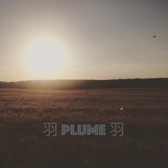 羽 Plume 羽