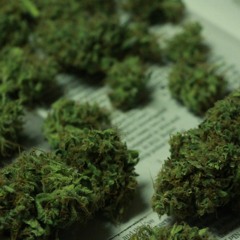 JustPlainKed(Marq'Ked Up Beats)