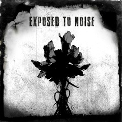 Exposed To Noise