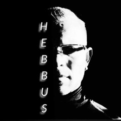 Aggro Berlin Negger Bums Mich(Hebbus Remix)