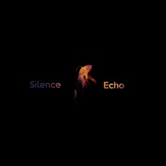 Silence Echo - the band